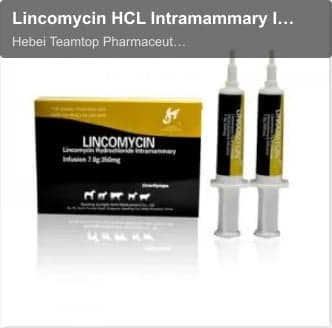 Lincomycin HCL Intramammary Infusion( Lactating Cow)