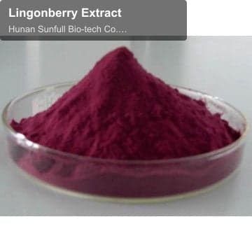 Lingonberry Extract