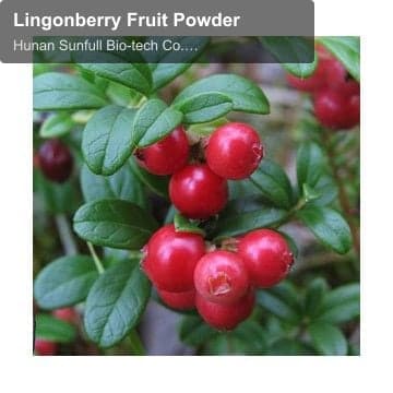 Lingonberry Fruit Powder