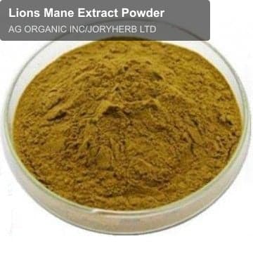 Lions Mane Extract Powder