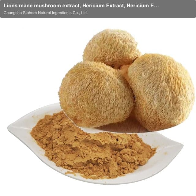 Lions mane mushroom extract, Hericium Extract, Hericium Erin