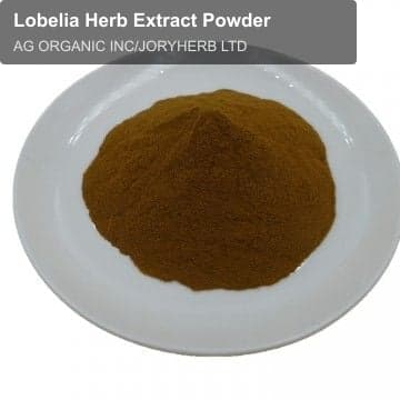 Lobelia Herb Extract Powder