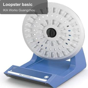 Loopster basic
