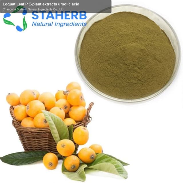 Loquat Leaf P.E-plant extracts ursolic acid