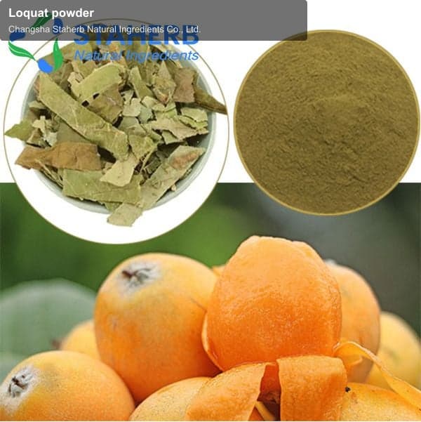 Loquat powder