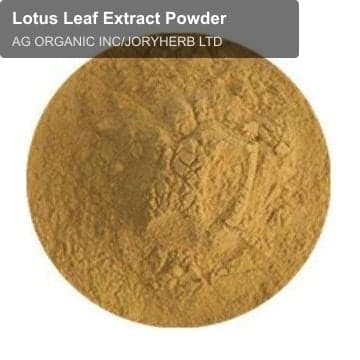 Lotus Leaf Extract Powder