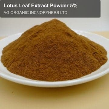 Lotus Leaf Extract Powder 5%