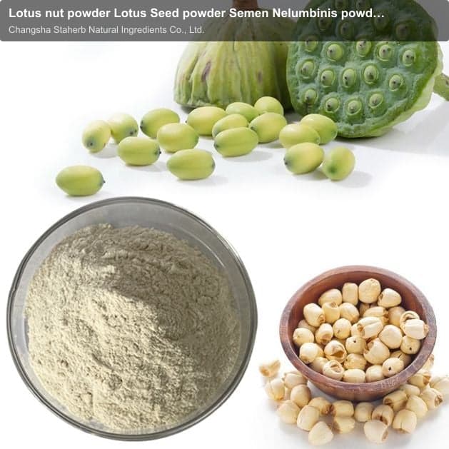 Lotus nut powder Lotus Seed powder Semen Nelumbinis powder