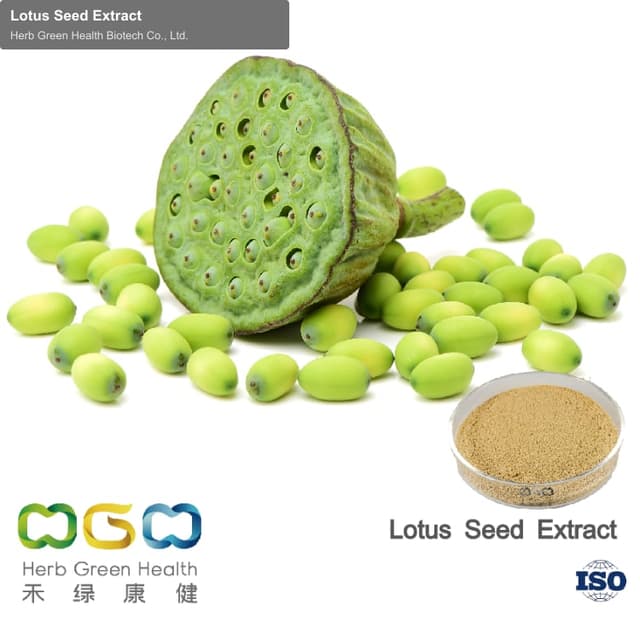 Lotus Seed Extract
