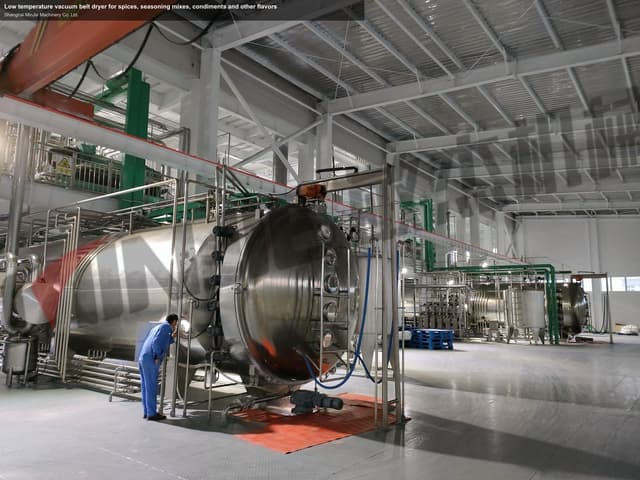 Low temperature vacuum belt dryer for spices, seasoning mixes, condiments and other flavors