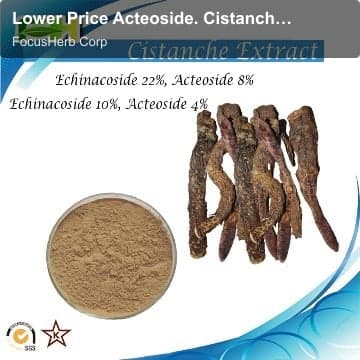 Lower Price Acteoside. Cistanche Extract