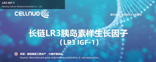 LR3 IGF-1