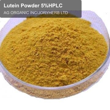 Lutein Powder 5%HPLC