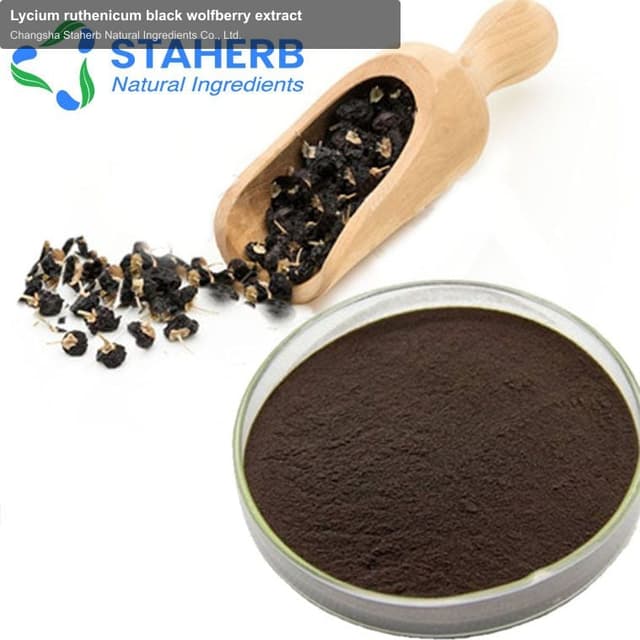 Lycium ruthenicum black wolfberry extract