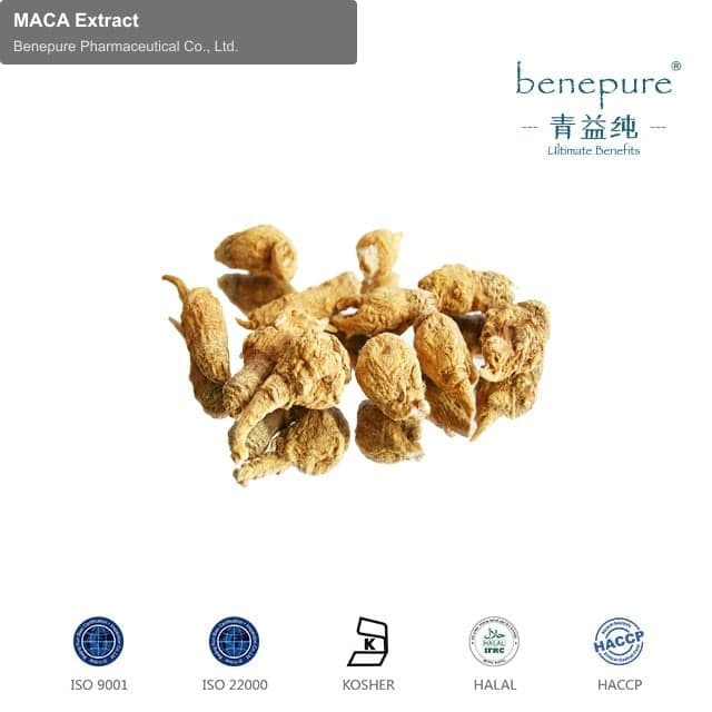 MACA Extract