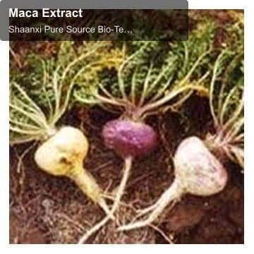 Maca Extract