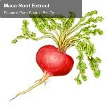 Maca Root Extract
