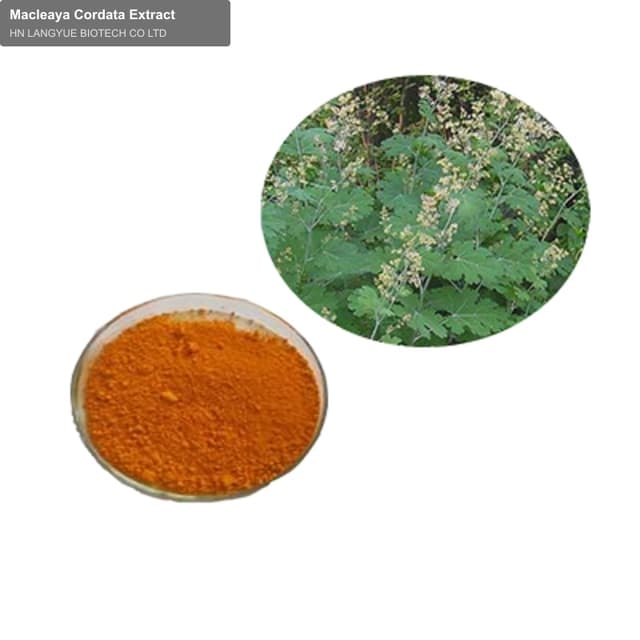 Macleaya Cordata Extract