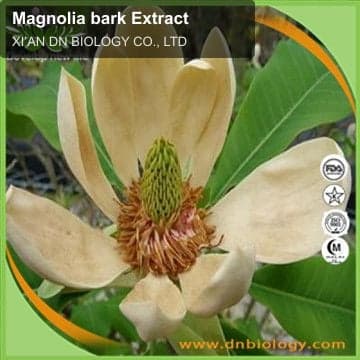 Magnolia bark Extract