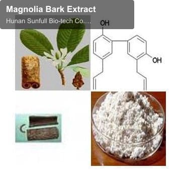 Magnolia Bark Extract