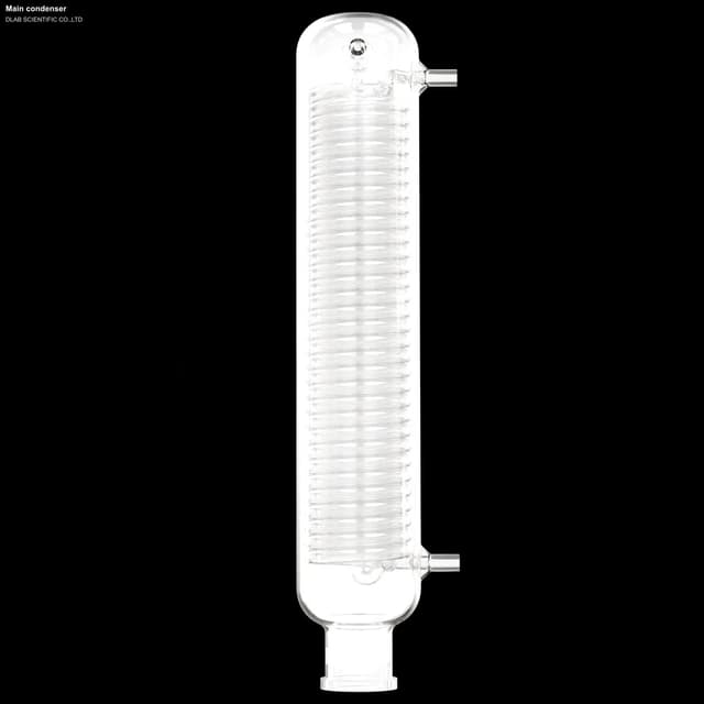 Main condenser