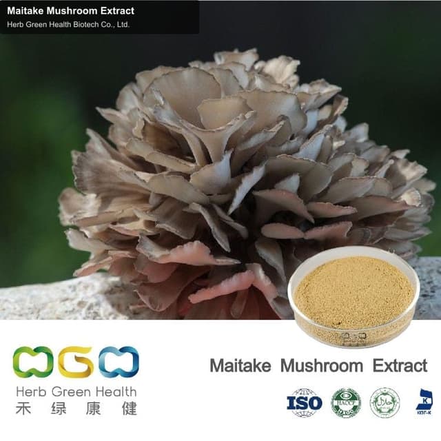 Maitake Mushroom Extract