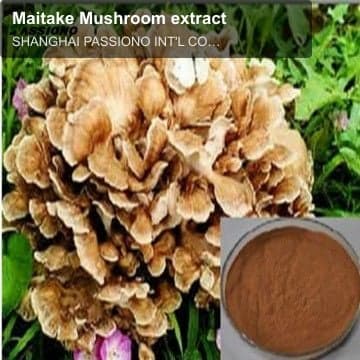 Maitake Mushroom extract