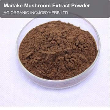 Maitake Mushroom Extract Powder