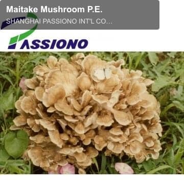 Maitake Mushroom P.E.