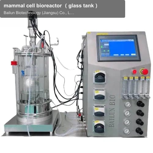 mammal cell bioreactor （glass tank）