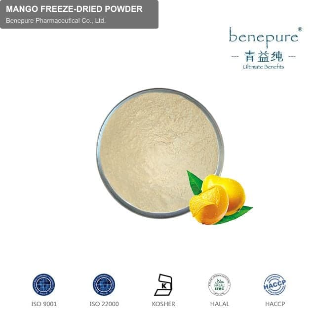 MANGO FREEZE-DRIED POWDER