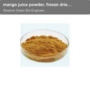 mango juice powder, freeze dried mango powder, dried mango powder