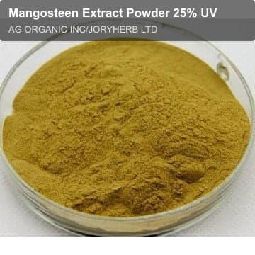Mangosteen Extract Powder 25% UV