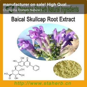 manufacturer on sale! High Quality with Best Price Baicalin