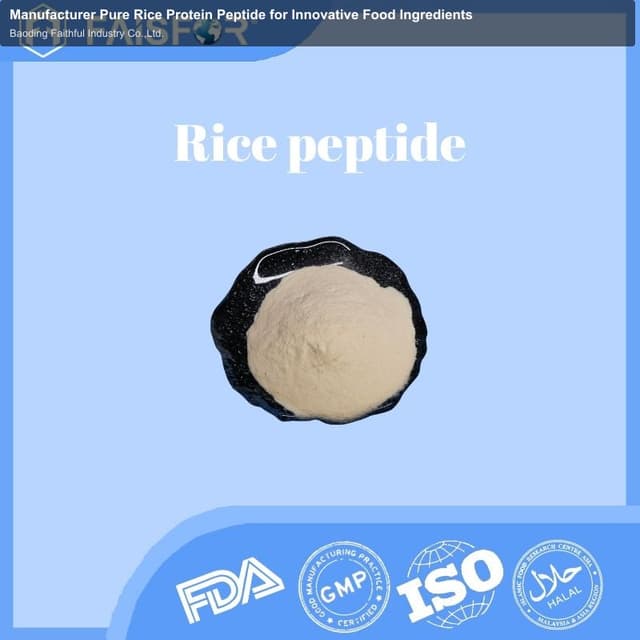 Manufacturer Pure Rice Protein Peptide for Innovative Food Ingredients