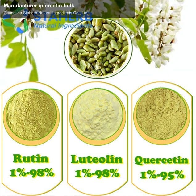 Manufacturer quercetin bulk