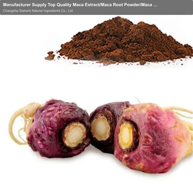 Manufacturer Supply Top Quality Maca Extract/Maca Root Powder/Maca Powder