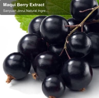 Maqui Berry Extract