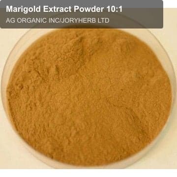 Marigold Extract Powder 10:1