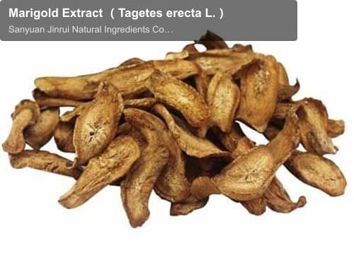 Marigold Extract （Tagetes erecta L.）