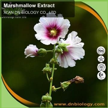 Marshmallow Extract