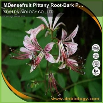 MDensefruit Pittany Root-Bark P.E.