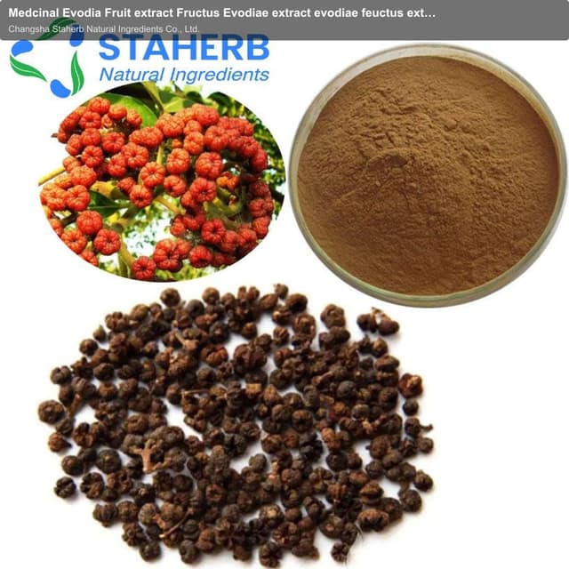 Medcinal Evodia Fruit extract Fructus Evodiae extract evodiae feuctus extract