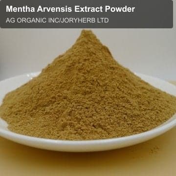 Mentha Arvensis Extract Powder