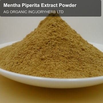 Mentha Piperita Extract Powder