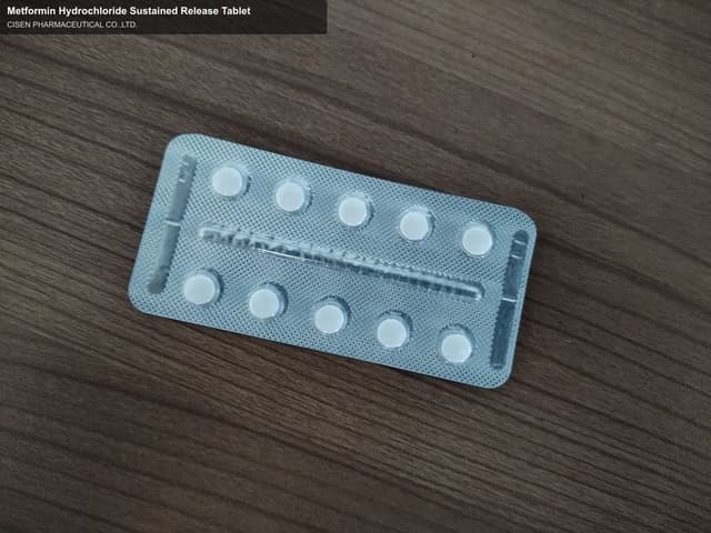 Metformin Hydrochloride Sustained Release Tablet