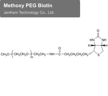 Methoxy PEG Biotin
