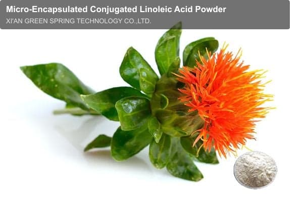 Micro-Encapsulated Conjugated Linoleic Acid Powder