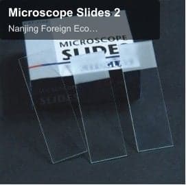 Microscope Slides 2