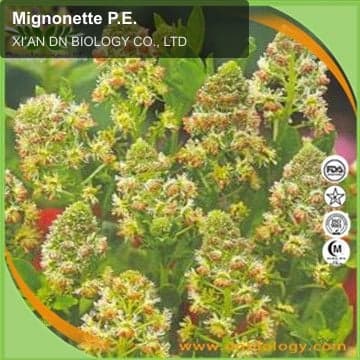 Mignonette P.E.